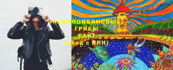 мяу мяу мука Алзамай