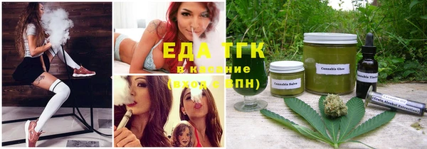 амф Гусев