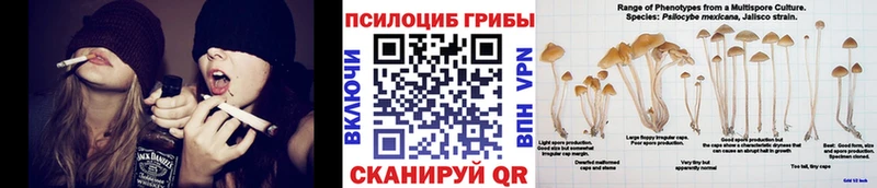 Псилоцибиновые грибы MAGIC MUSHROOMS  Бокситогорск 